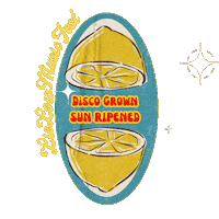 Lielow Fruit Sticker by LieLowMusicFest