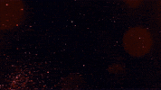 Vintage Album GIF by Elise LeGrow