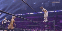Wrestle Yuka Sakazaki GIF by All Elite Wrestling on TNT