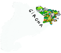Barcelona Catalunya Sticker by David Riera
