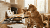 Kitchen Fire Cooking GIF by DogeGF