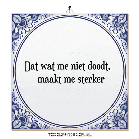 Nl Wijsheid Sticker by Tegelspreuken.nl