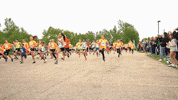 Dundee_Township_Park_District  GIF