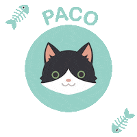 Paco Sticker