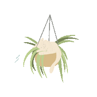 Songe_of_May cat flow cute cat breath Sticker