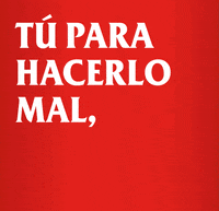 Amstel_ES beer ok perfect cerveza GIF