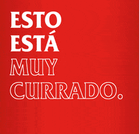 Amstel_ES beer ok perfect cerveza GIF