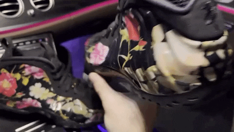 daswewda giphyupload GIF