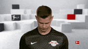 Line Up Hello GIF by Bundesliga