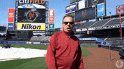 citi field mets GIF by The 7 Line