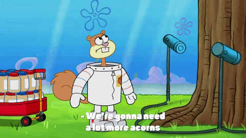 season 9 episode 23 GIF by SpongeBob SquarePants
