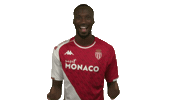 Matsima Sticker by AS Monaco