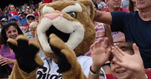 sport ozzie t cougar GIF by Kane County Cougars