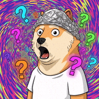 Shocked Shiba Inu GIF by Doge Pound