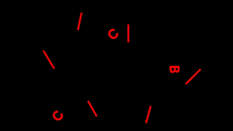 GIF by Centro Cultural de Belém