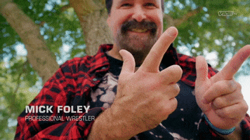 Mick Foley Wrestling GIF by DARK SIDE OF THE RING