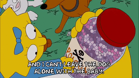 season 20 episode 13 GIF