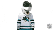 Ice Hockey Whatever GIF by NHL