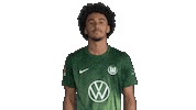 France No Sticker by VfL Wolfsburg