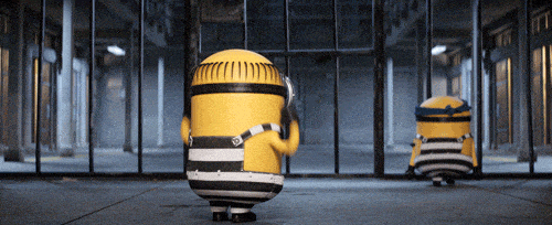 giphy.gif