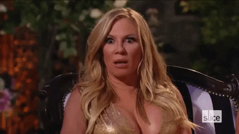 slice giphygifmaker rhony real housewives of new york ramona GIF