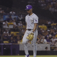 College Sports Baseball GIF by LSU Tigers