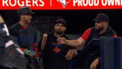Blue Jays Baseball GIF by Toronto Blue Jays