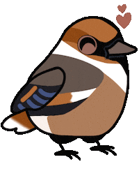 Bird Vogel Sticker by mahoniemoni