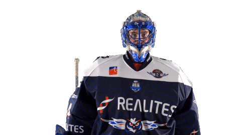 Garnier Sticker by Les Ducs d'Angers