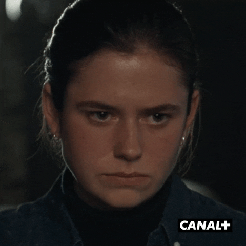 Tv Show Television GIF by CANAL+