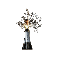 ruffusbelgium cheers champagne belgium sparkling Sticker