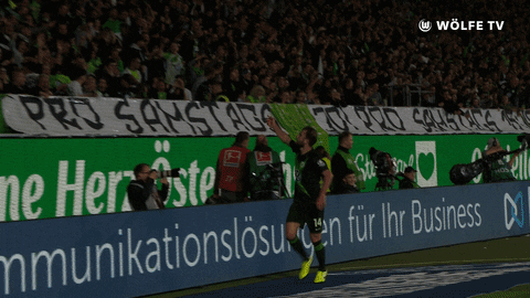 Soccer Goal GIF by VfL Wolfsburg