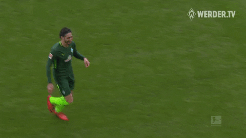 werder bremen bundesliga GIF