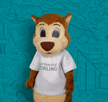universityofstirling yes winning yas score GIF