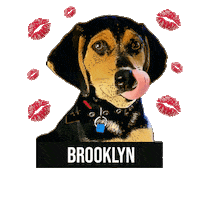 Dog Kiss Sticker by IQSHOES