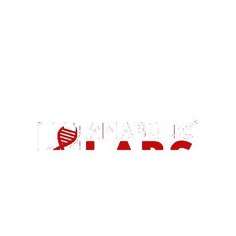 Anaboliclabs dragon treino suplemento labs Sticker