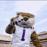 College Football GIF by LSU Tigers