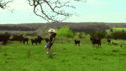Hip Hop Rap GIF by MILES