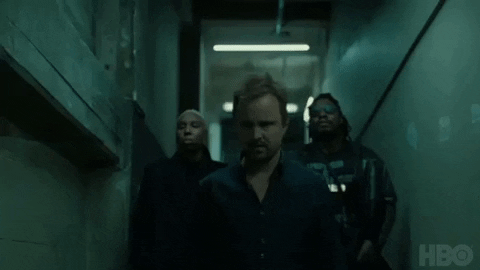 brittanyacts giphygifmaker westworld aaron paul marshawn lynch GIF