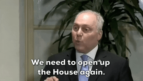 Steve Scalise House Republicans GIF by GIPHY News