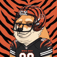 American Football Nfl GIF by Doge Pound