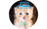 Cat Sticker by Simon Kids