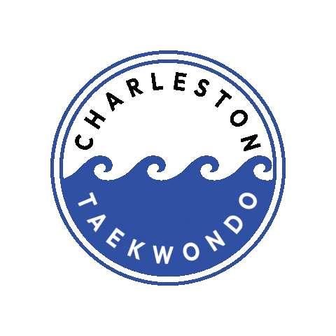 CharlestonTaekwondo giphygifmaker taekwondo charleston charlestontaekwondo Sticker