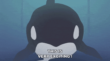 water whale GIF by South Park 