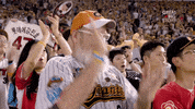 Happy Baseball GIF by Great Big Story