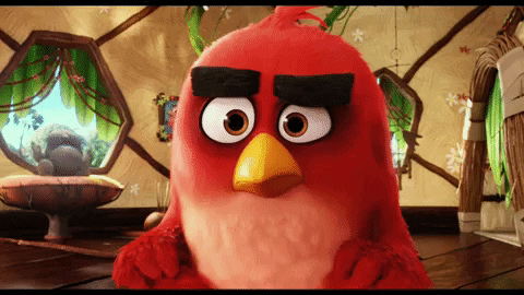 confused GIF by Angry Birds