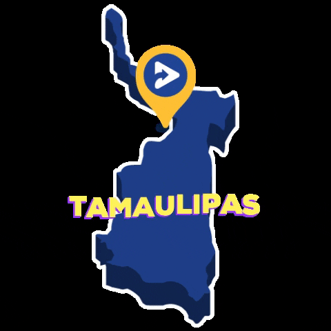 WCNtelevision giphygifmaker television tamaulipas wcn GIF
