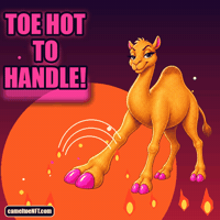 Sexy Too Hot To Handle GIF by CamelToe