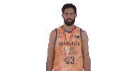 Liga Endesa Basketball Sticker by ACB