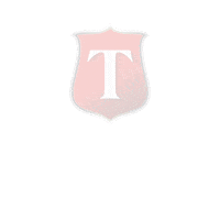 Strength Nova Sticker by Tysonsplayground